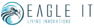 EAGLE IT Solutions